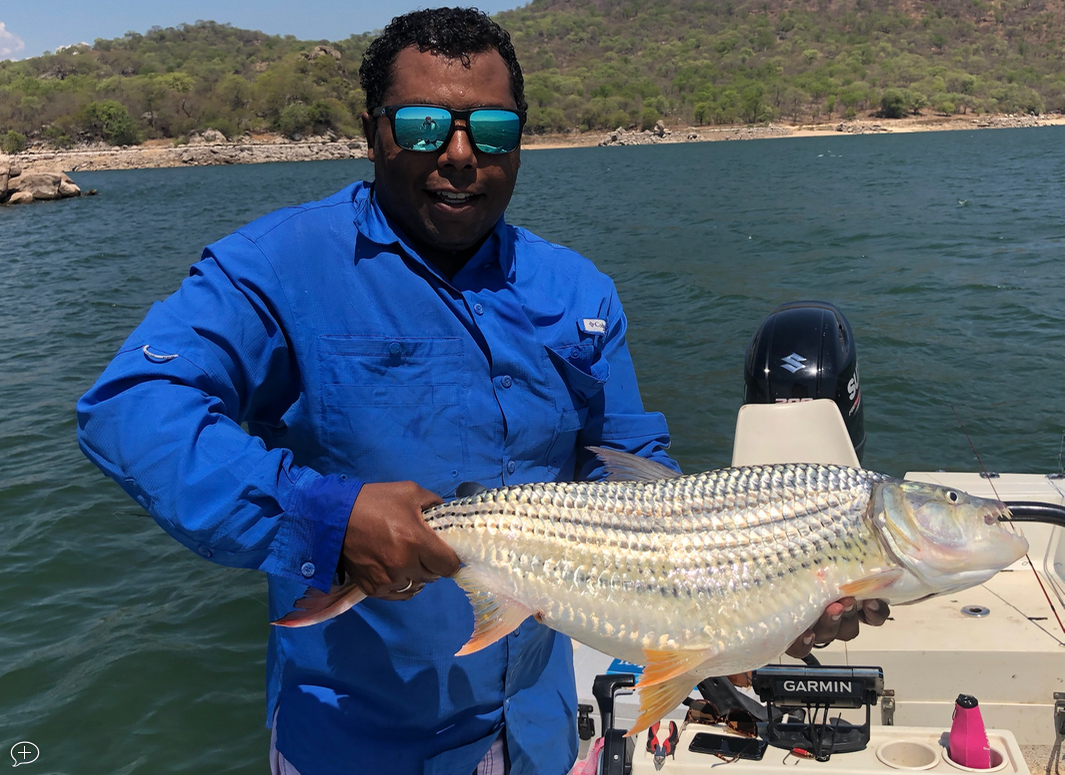 Screen Shot 2023-04-26 at 20.22.44